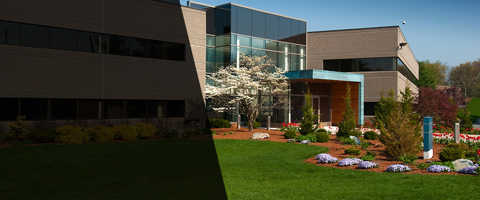 The Colony Landscapers